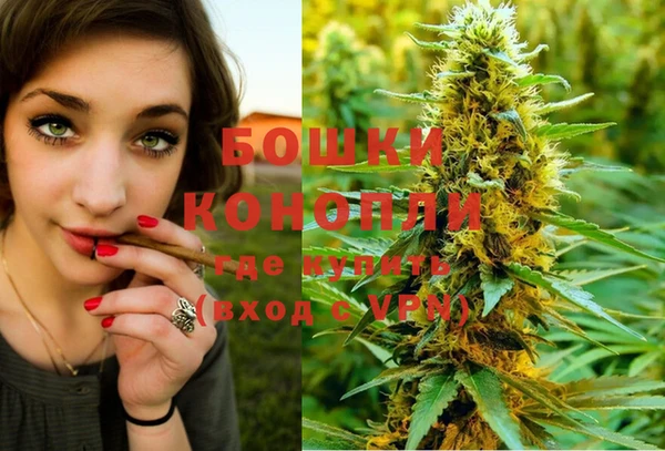 тгк Козельск